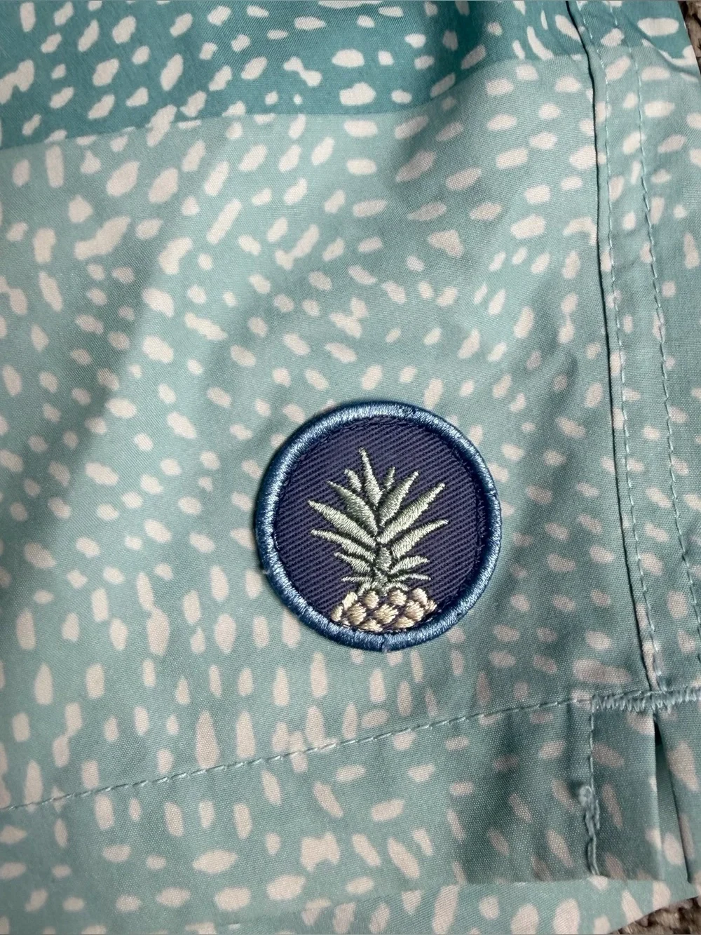 chubbies your swim